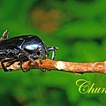 IMG_7282.JPG