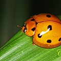 IMG_1159.JPG