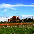 IMG_7281.JPG