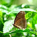 IMG_3016.JPG