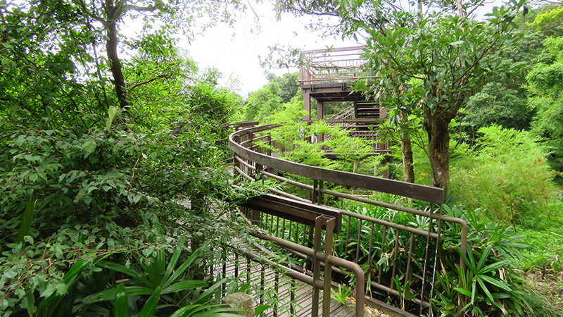 台北士林 大崙頭尾山