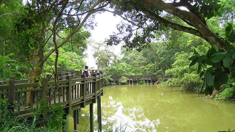 台北士林 大崙頭尾山