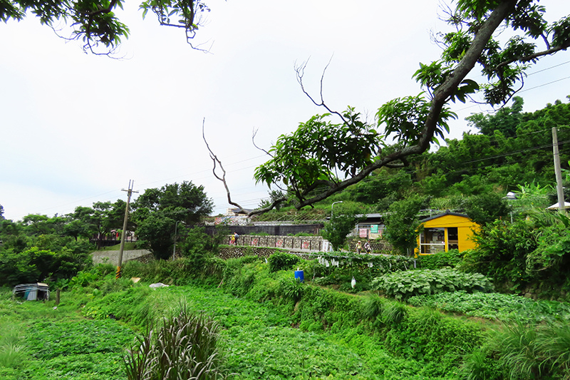 台北士林 大崙頭尾山