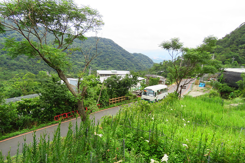 台北士林 大崙頭尾山