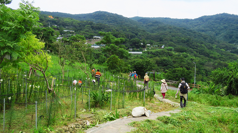 台北士林 大崙頭尾山