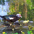 IMG_0569.JPG