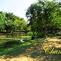 IMG_1772.JPG