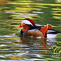IMG_0157.JPG