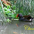 IMG_9667.JPG