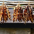 IMG_2453.JPG