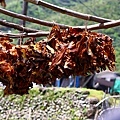 IMG_2460.JPG