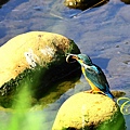 IMG_3984.JPG