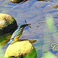 IMG_3990.JPG