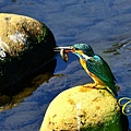 IMG_4021.JPG