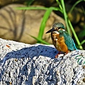 IMG_6161.JPG