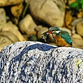 IMG_6182.JPG