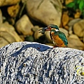 IMG_6189.JPG