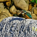 IMG_6190.JPG