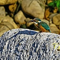 IMG_6191.JPG