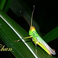 IMG_6763.JPG