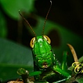 IMG_6948.JPG