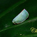IMG_2362.JPG