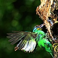 IMG_8479.JPG