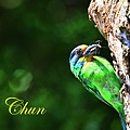 IMG_8687.JPG