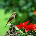 IMG_4657.JPG