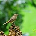 IMG_4664.JPG