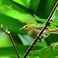 IMG_6179.JPG