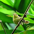 IMG_6178.JPG