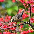 IMG_6978.JPG