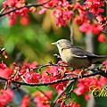 IMG_6980.JPG
