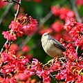IMG_6983.JPG