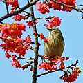 IMG_7058.JPG