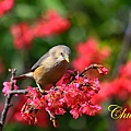 IMG_7120.JPG