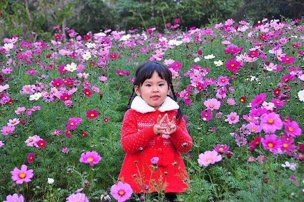 妹妹 人比花嬌