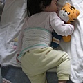 最近喜歡抱著阿虎睡覺
