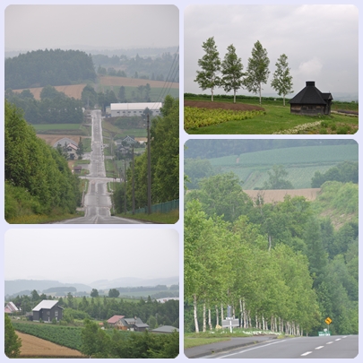 北海道街景