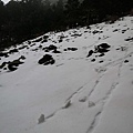 0228-0302雪山下翠池 032.jpg