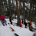 0228-0302雪山下翠池 056.jpg