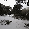 0228-0302雪山下翠池 105.jpg