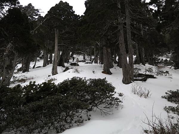 0228-0302雪山下翠池 113.jpg