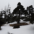 0228-0302雪山下翠池 121.jpg