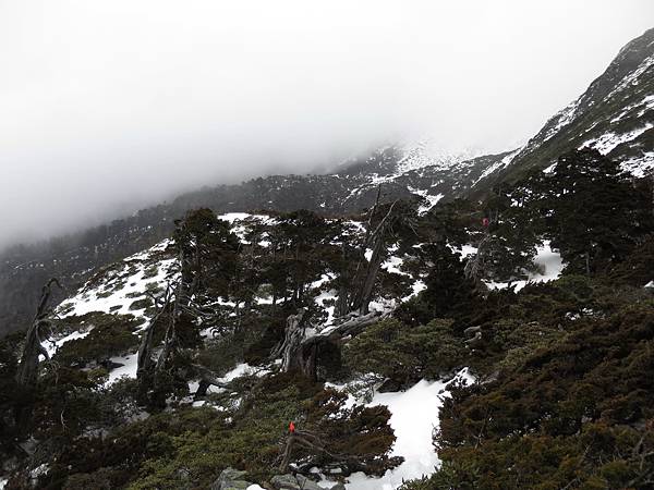 0228-0302雪山下翠池 135.jpg