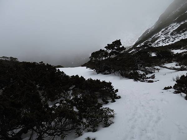 0228-0302雪山下翠池 141.jpg