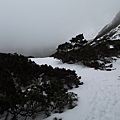 0228-0302雪山下翠池 141.jpg