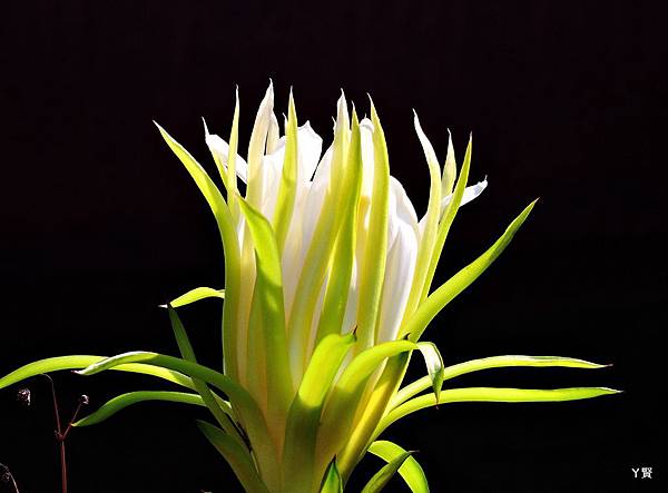 DSCN9220.JPG DSCN9220.JPG