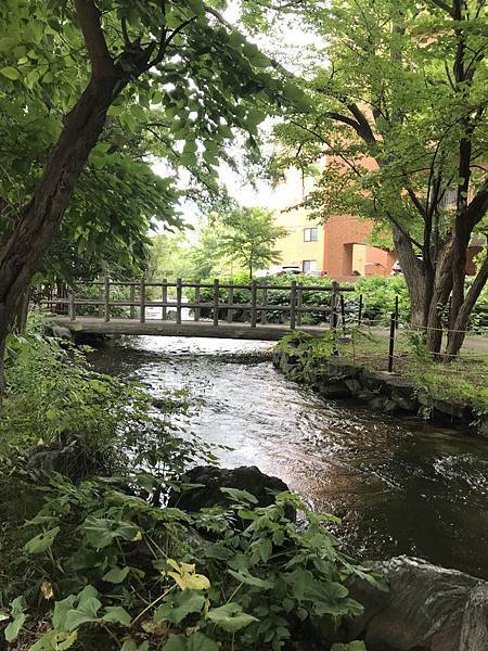 2023暑假三合一北海道行Day3-1：晨遊神社